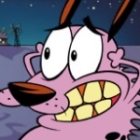 kocu